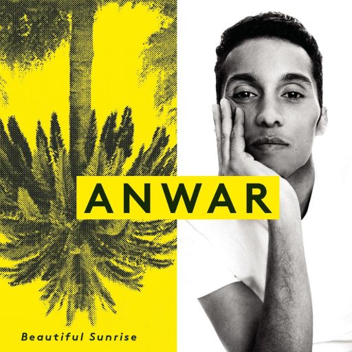 دانلود آهنگ Anwar – How Can I Do