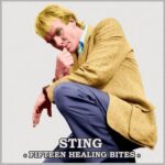 دانلود آهنگ Sting – Shape Of My Heart